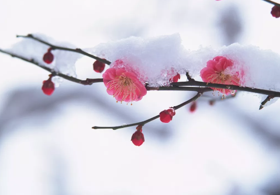 球速等离子清洗机提醒，今日大寒仍需防寒