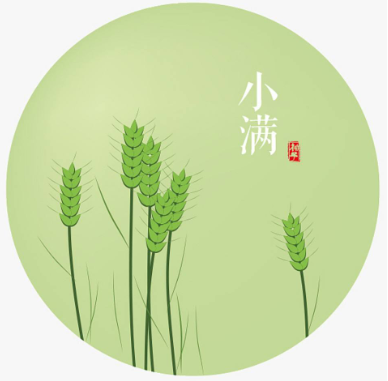今日小满,小得盈满-球速等离子清洗机