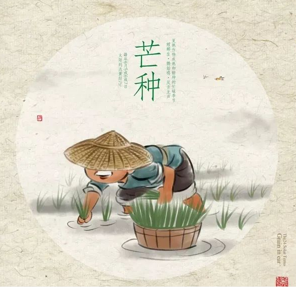 芒种时节,习俗不“盲”-球速等离子清洗机