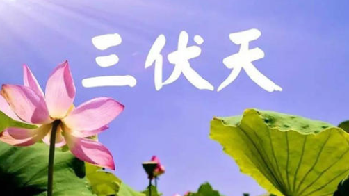 入伏,或开启蒸煮模式-球速等离子清洗机