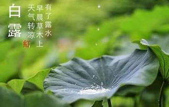 今迎白露,盛夏退场-球速等离子清洗机
